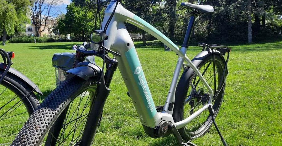 Luxembourg: City E-Bike Rental - The e-Bike Setup: Helmet, Lock, and the App Map