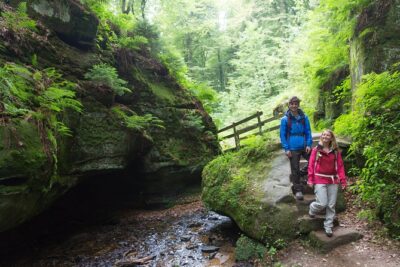 Nature & Castle Day Trip