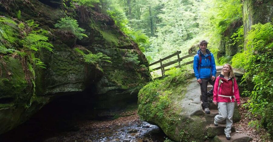Luxembourg: Nature, History and Castles Full-Day Tour - Key takeaways